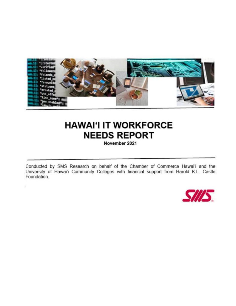 IT workforce needs analysis report cover.